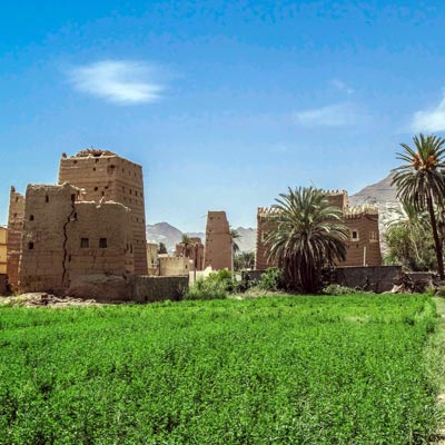 Historical Al Ukhdood Archaeological Tour