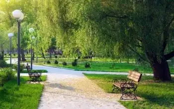 Abha’s Most Beautiful Parks: A Guide for Nature Lovers