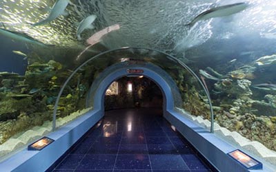 Fakieh Aquarium