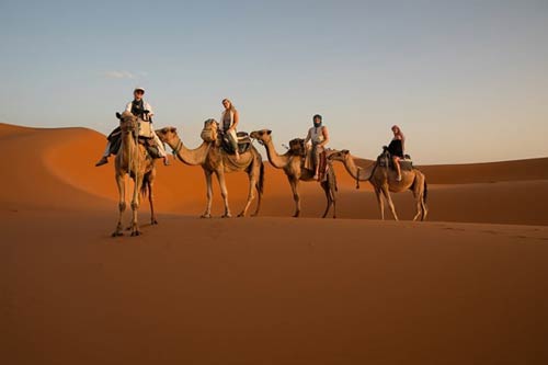 Camel Trekking Tour Riyadh