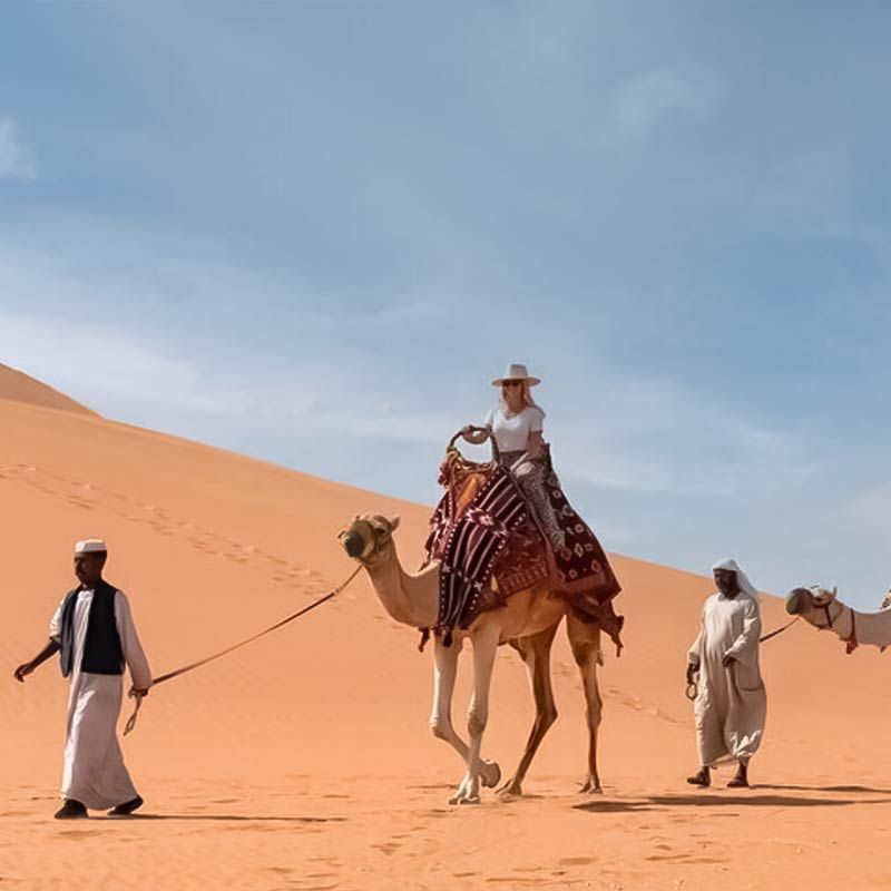 camel trekking jeddah-sm