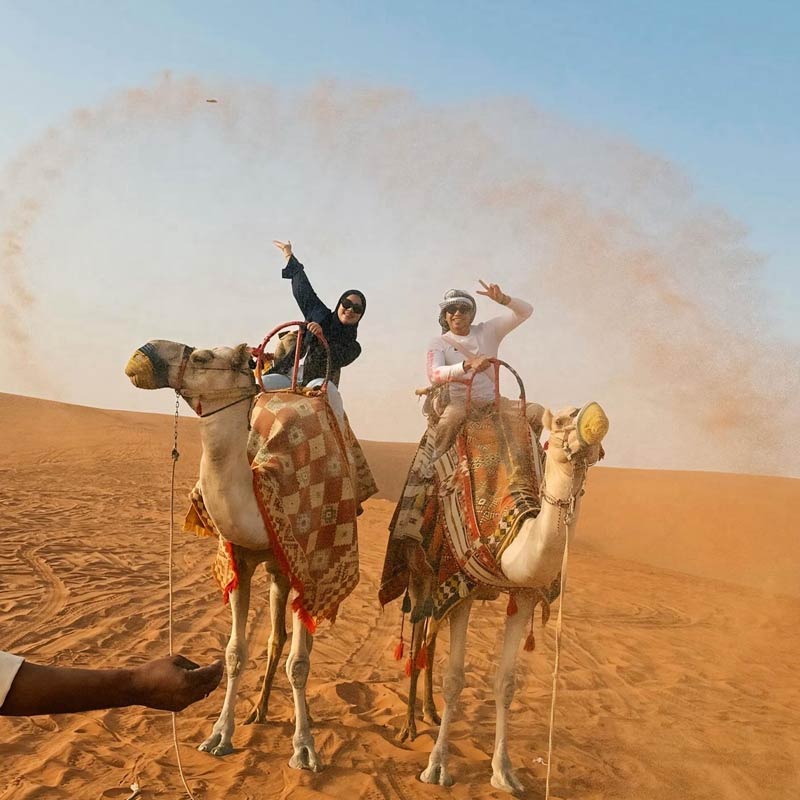 camel trekking jeddah-sm