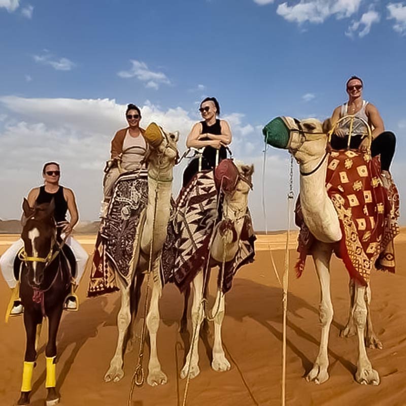 camel trekking jeddah-sm