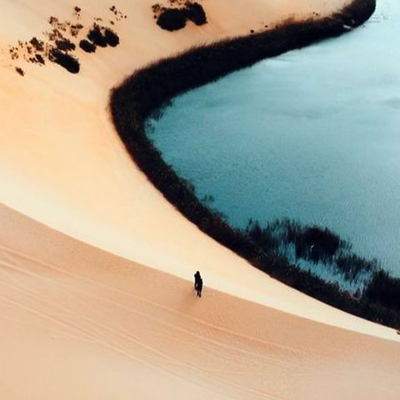 desert safari in al asfar lake