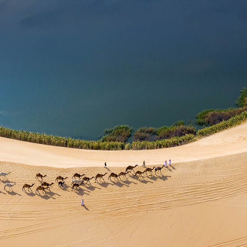 desert safari in al asfar lake