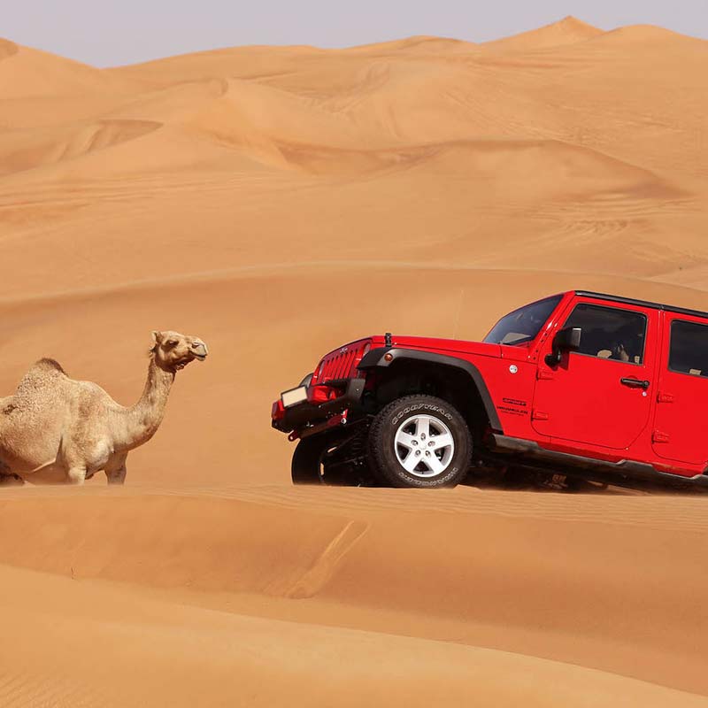 Desert safari dammam