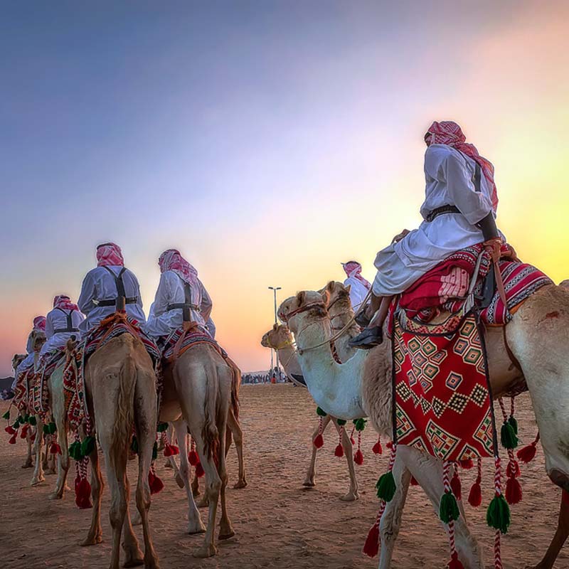 Desert safari dammam