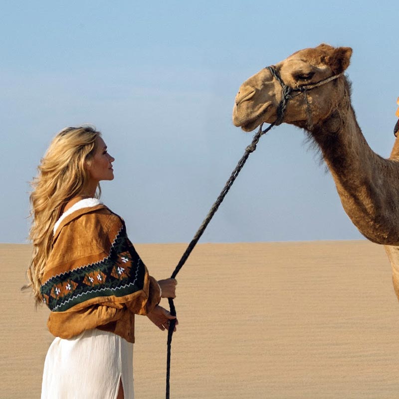 Desert safari dammam