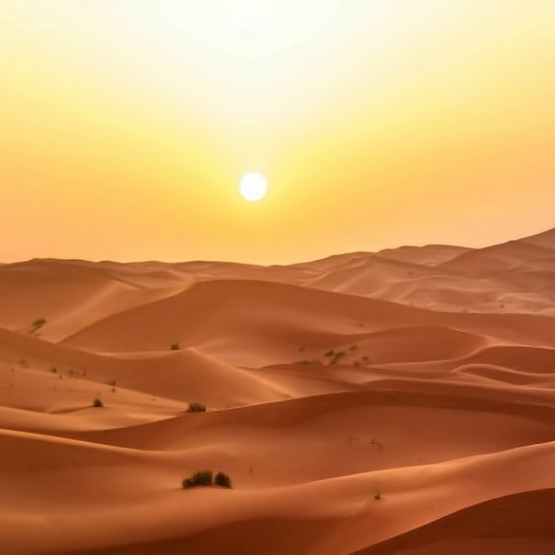 Evening Desert Safari Jeddah-sm