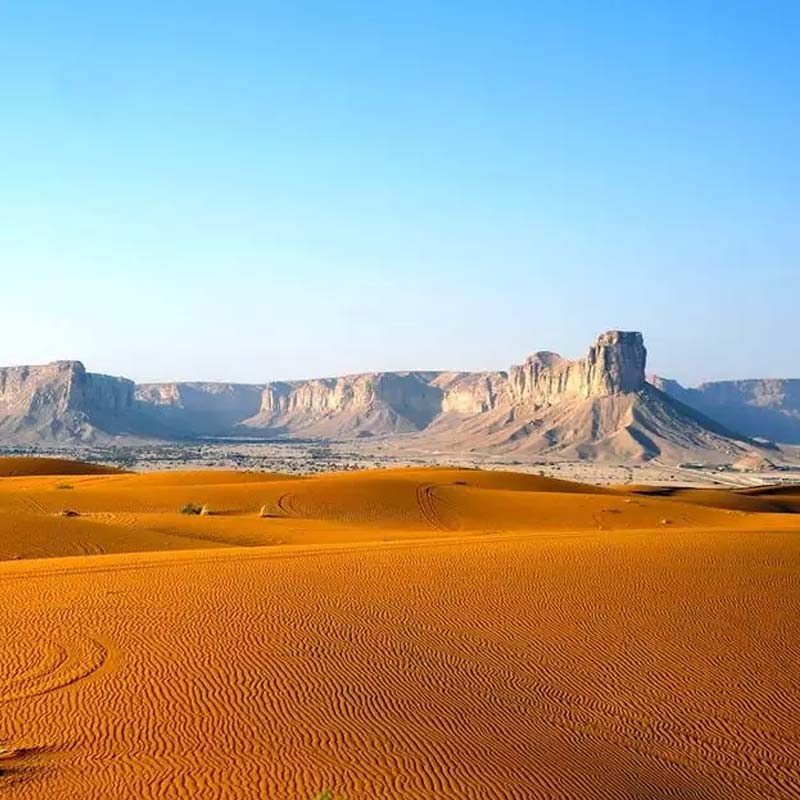 Riyadh Evening Desert Safari-sm