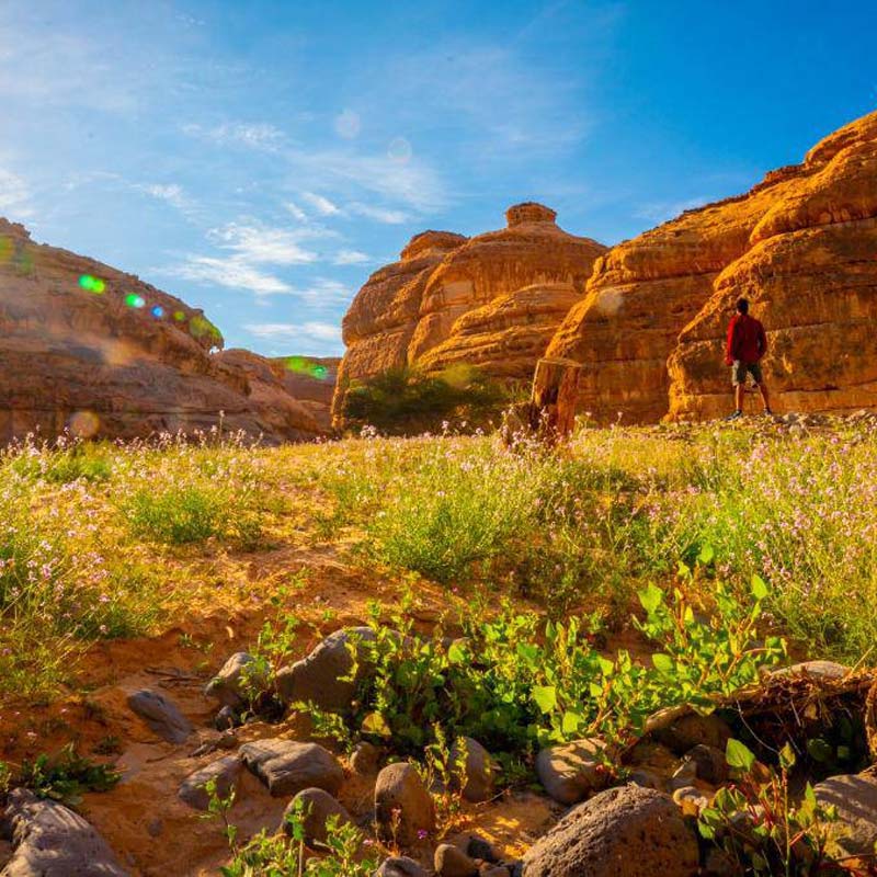 hiking trail al ula