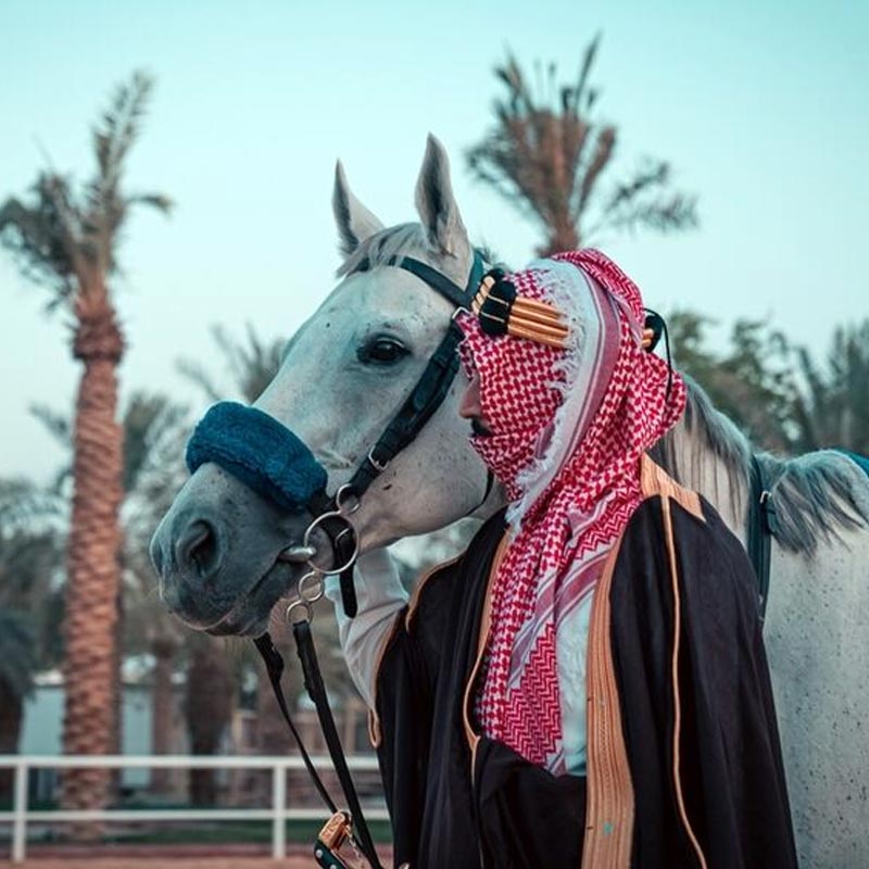 desert horse riding tour riyadh-sm