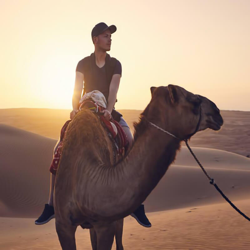 Morning desert safari jeddah-sm