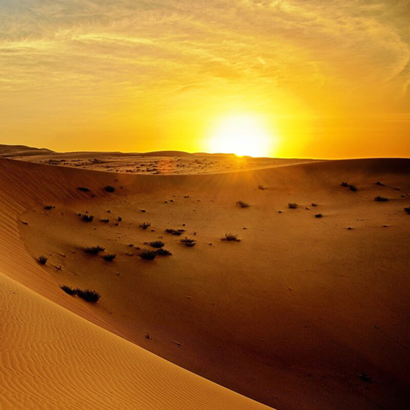 Morning desert safari jeddah-sm