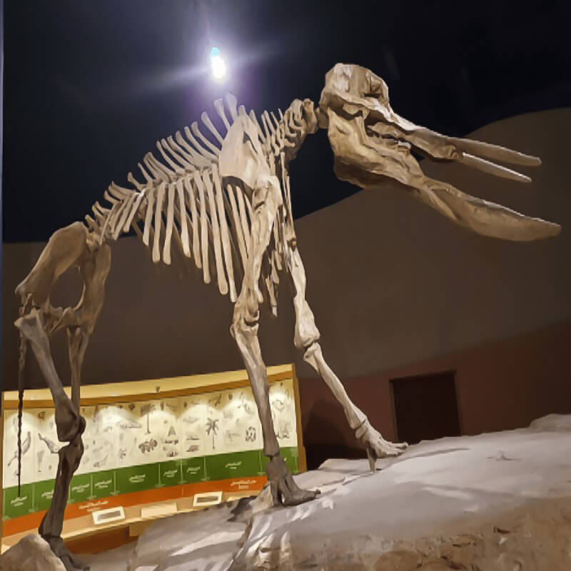 Riyadh Historical Tour