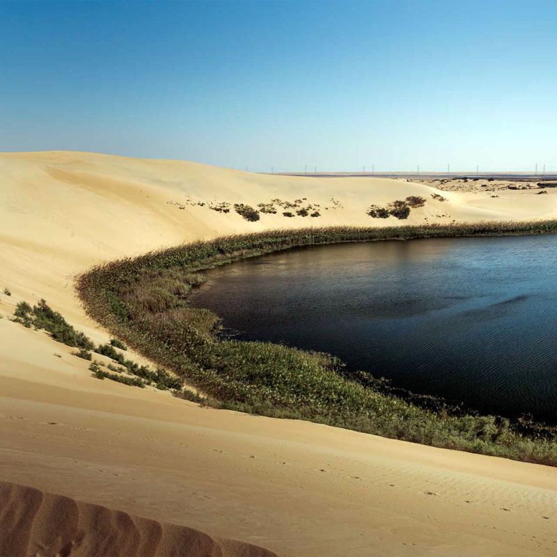 private dune dinner al asfar lake