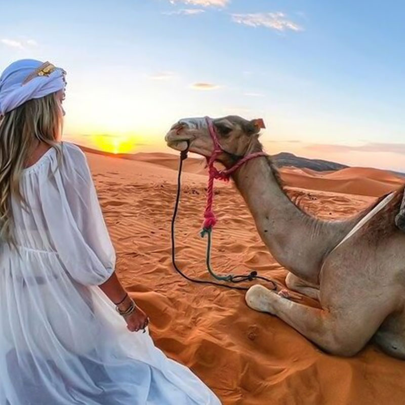 sunrise desert safari riyadh-sm