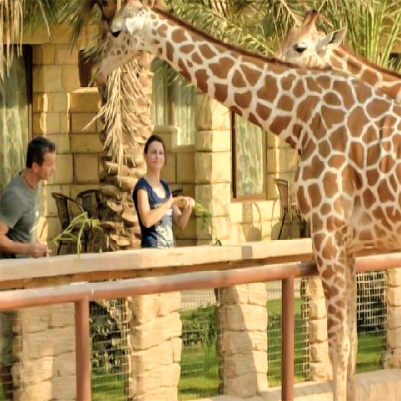 Wildlife park tour-sm