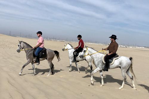 horse riding dammam thumb