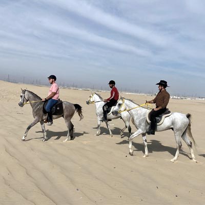 horse riding dammam thumb
