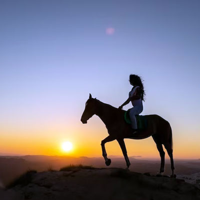 Horse Riding Tour Riyadh