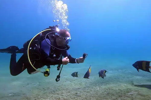 scuba diving dammam thumb