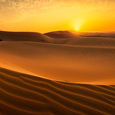 Sunrise Desert Safari Riyadh