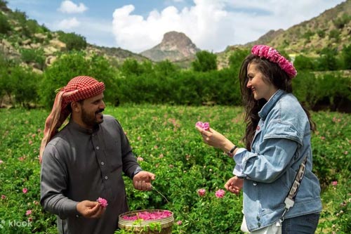Taif City Tour from Makkah