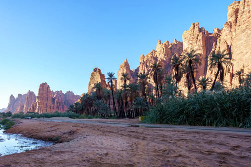 Wadi Al Disah Tour from Tabuk