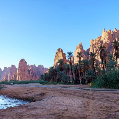 Wadi Al Disah Tour from Tabuk